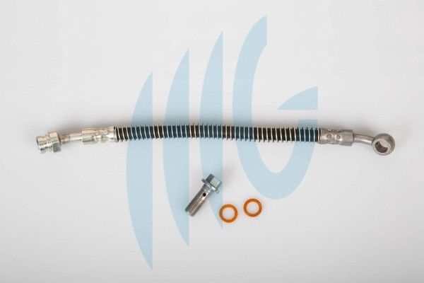 Flexible de frein RICAMBIFLEX GM 02160889
