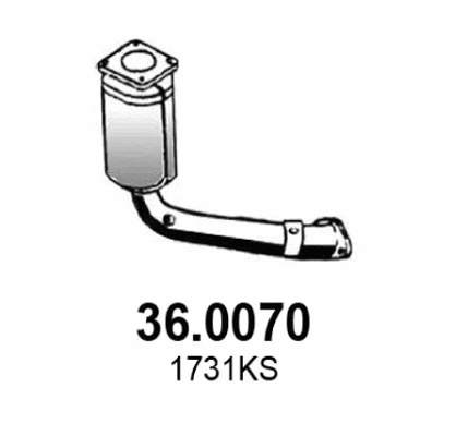 Catalyseur ASSO 36.0070