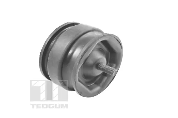 Support moteur TEDGUM 00221175
