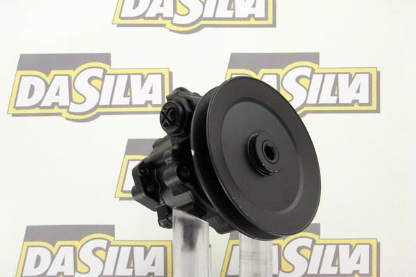 Pompe hydraulique, direction DA SILVA DP2193