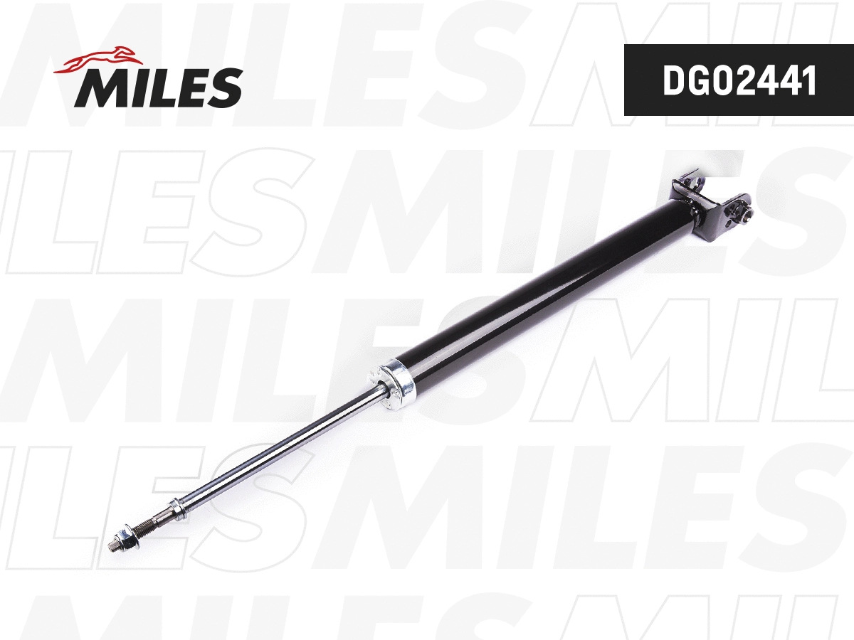 Amortisseur MILES DG02441