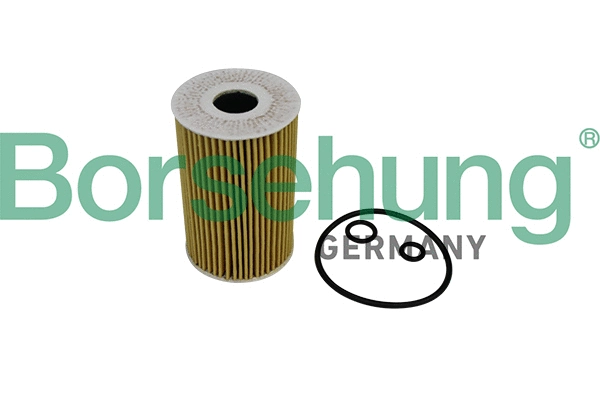 Filtre à huile Borsehung B10535