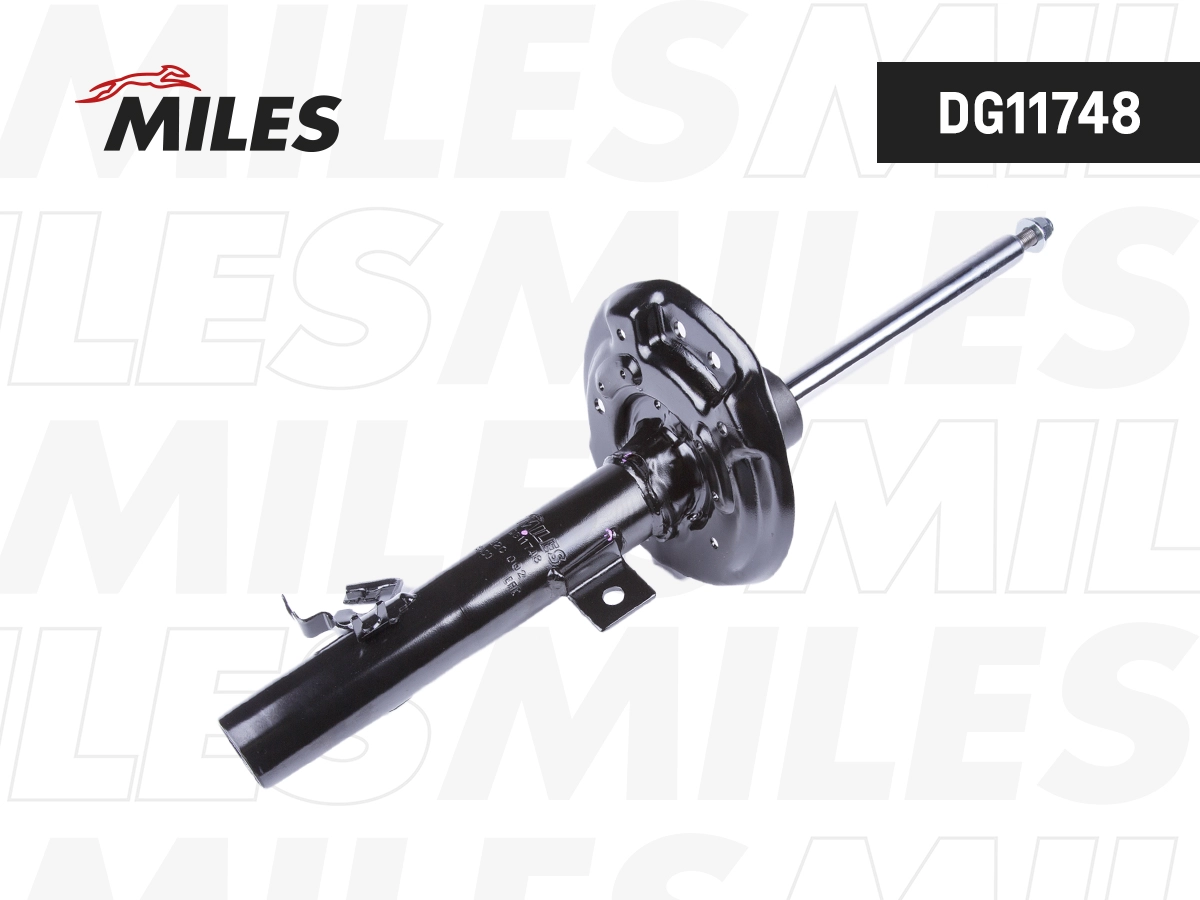 Amortisseur MILES DG11748