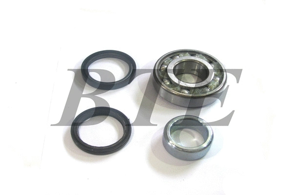 Kit de roulements de roue BTE 528110