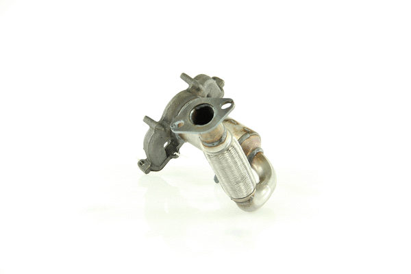 Catalyseur WALKER 28038