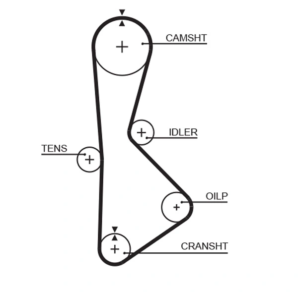 Courroie crantée GATES-MX T233