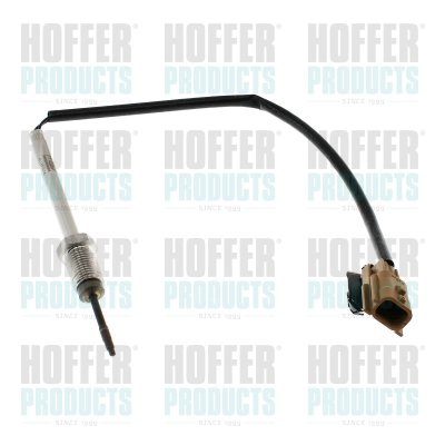 Capteur, température des gaz HOFFER 7452186E