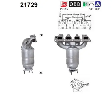 Catalyseur AS 21729
