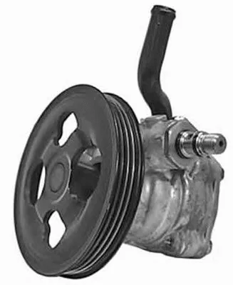 Pompe hydraulique, direction GENERAL RICAMBI PI0366