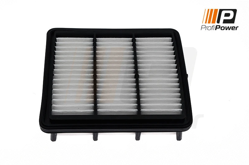 Filtre à air ProfiPower 2F0030