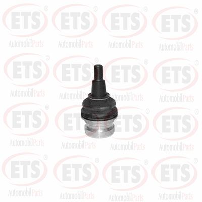 Rotule de suspension ETS 02.BJ.484
