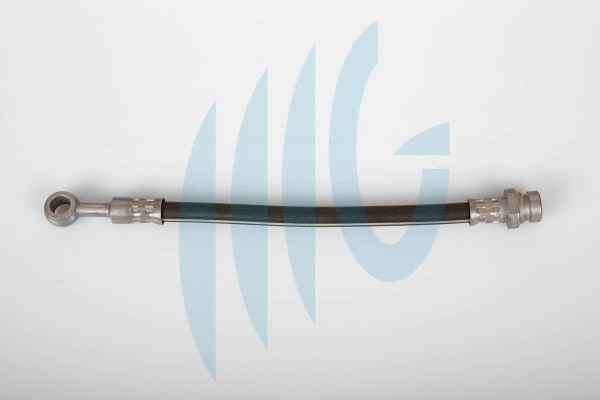 Flexible de frein RICAMBIFLEX GM 02160844