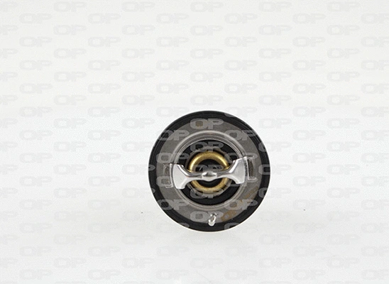 Thermostat, liquide de refroidissement OPEN PARTS TRM1107.00