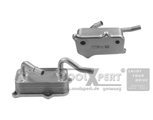 Radiateur d'huile BBR Automotive 001-10-16908