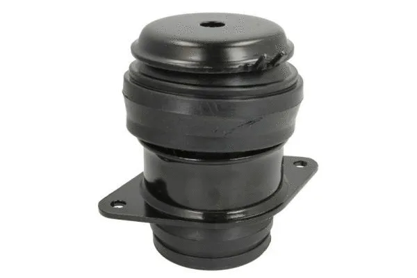 Support moteur REINHOCH RH11-0107
