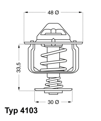 Thermostat, liquide de refroidissement BorgWarner (Wahler) 4103.82D
