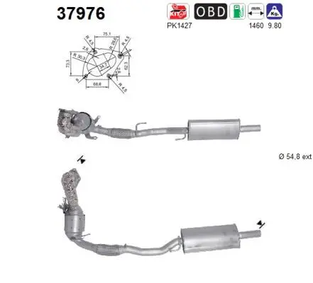 Catalyseur AS 37976