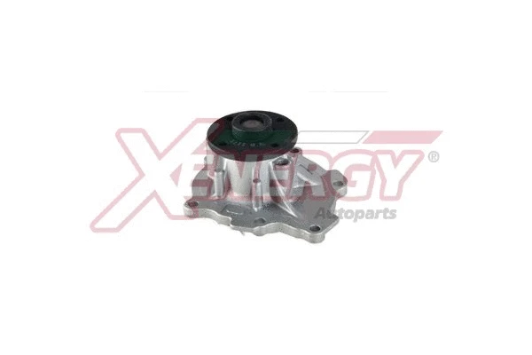Pompe à eau, refroidissement du moteur AP XENERGY X207352