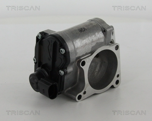 Vanne EGR TRISCAN 8813 29311