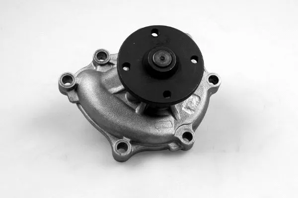 Pompe à eau, refroidissement du moteur GK 987996