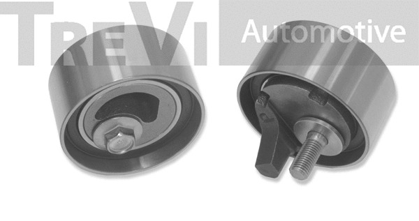 Poulie renvoi/transmission, courroie crantée TREVI AUTOMOTIVE TD1598