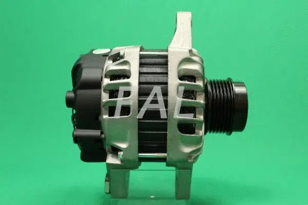 Alternateur FAL Anlasser- und Lichtmaschinenservice F015673/2