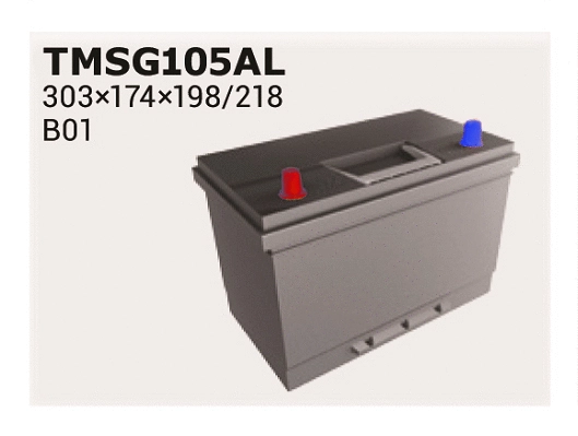Batterie de démarrage IPSA TMSG105AL