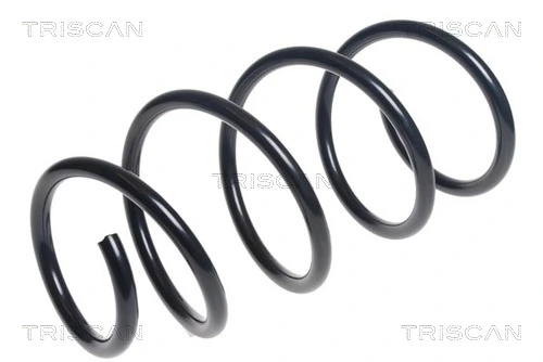 Ressort de suspension TRISCAN 8750 13227