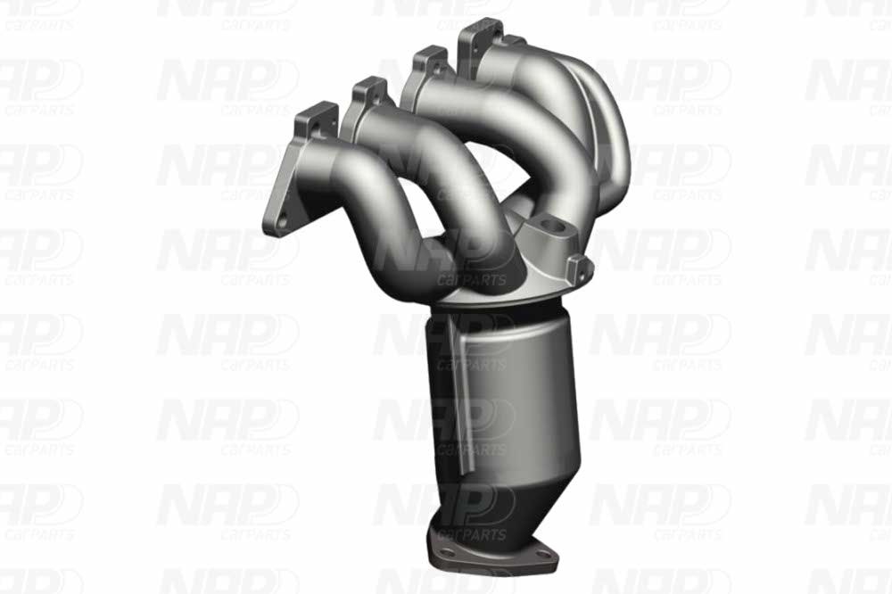 Catalyseur NAP carPARTS CAK10838
