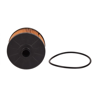 Filtre à huile BAPMIC BF0423450019