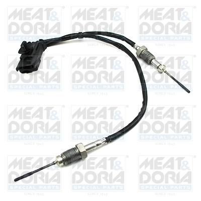 Capteur, température des gaz MEAT & DORIA 12448