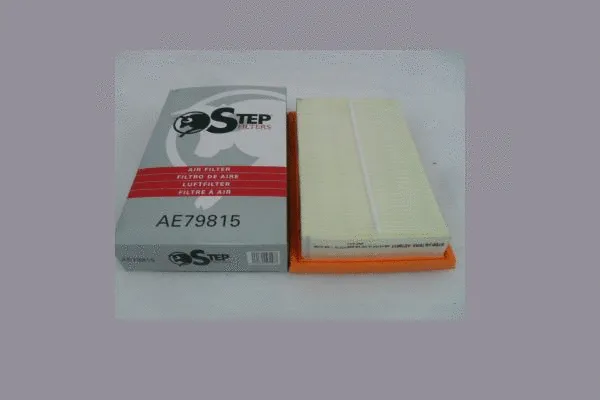 Filtre à air STEP FILTERS AE79815