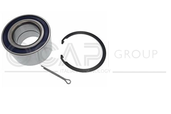 Kit de roulements de roue OCAP 6120631