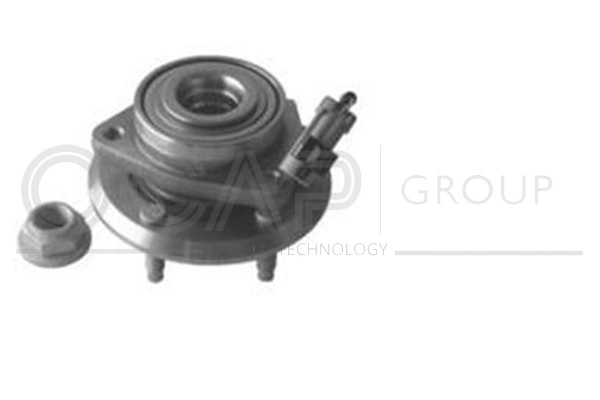 Kit de roulements de roue OCAP 6120484