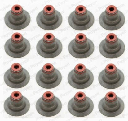 Jeu de joints d'étanchéité, tige de soupape PAYEN HR5087
