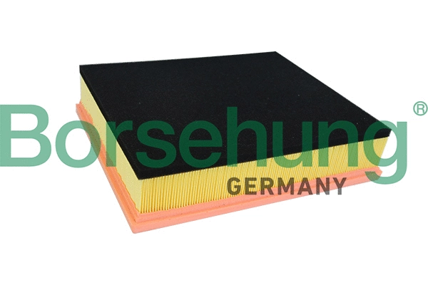 Filtre à air Borsehung B10526