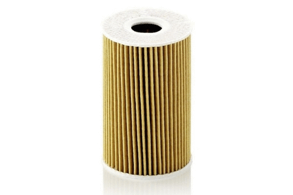 Filtre à huile MTR 12135356