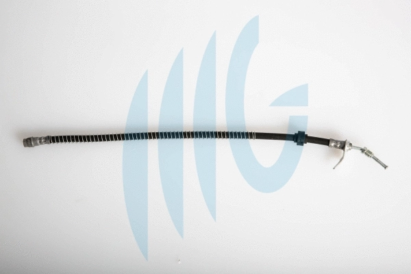 Flexible de frein RICAMBIFLEX GM 02440608