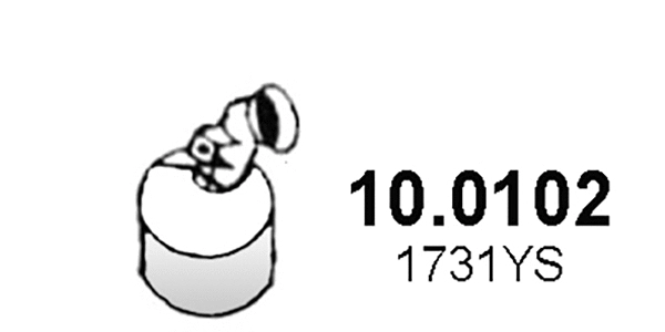 Catalyseur ASSO 10.0102