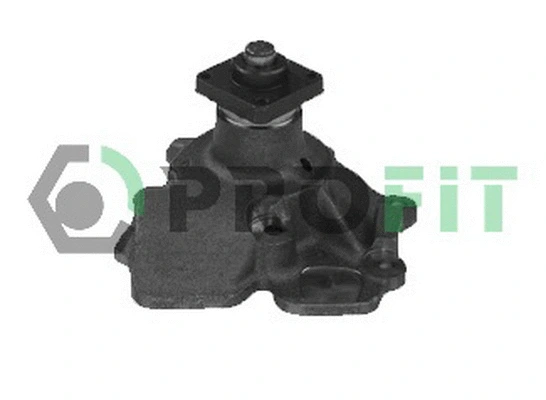 Pompe à eau, refroidissement du moteur PROFIT 1701-0323