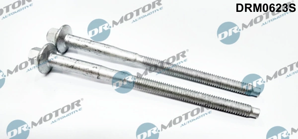 Vis, support pour contrôleur d'injecteurs Dr.Motor Automotive DRM0623S