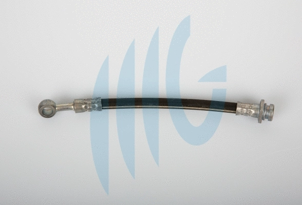 Flexible de frein RICAMBIFLEX GM 02520967