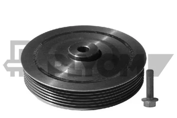 Kit de poulies, vilebrequin PLYOM P752325