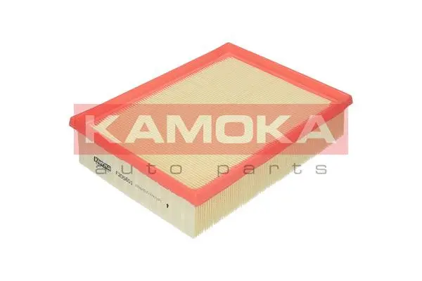 Filtre à air KAMOKA F205601