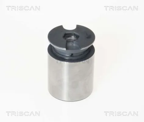 Piston, étrier de frein TRISCAN 8170 233863