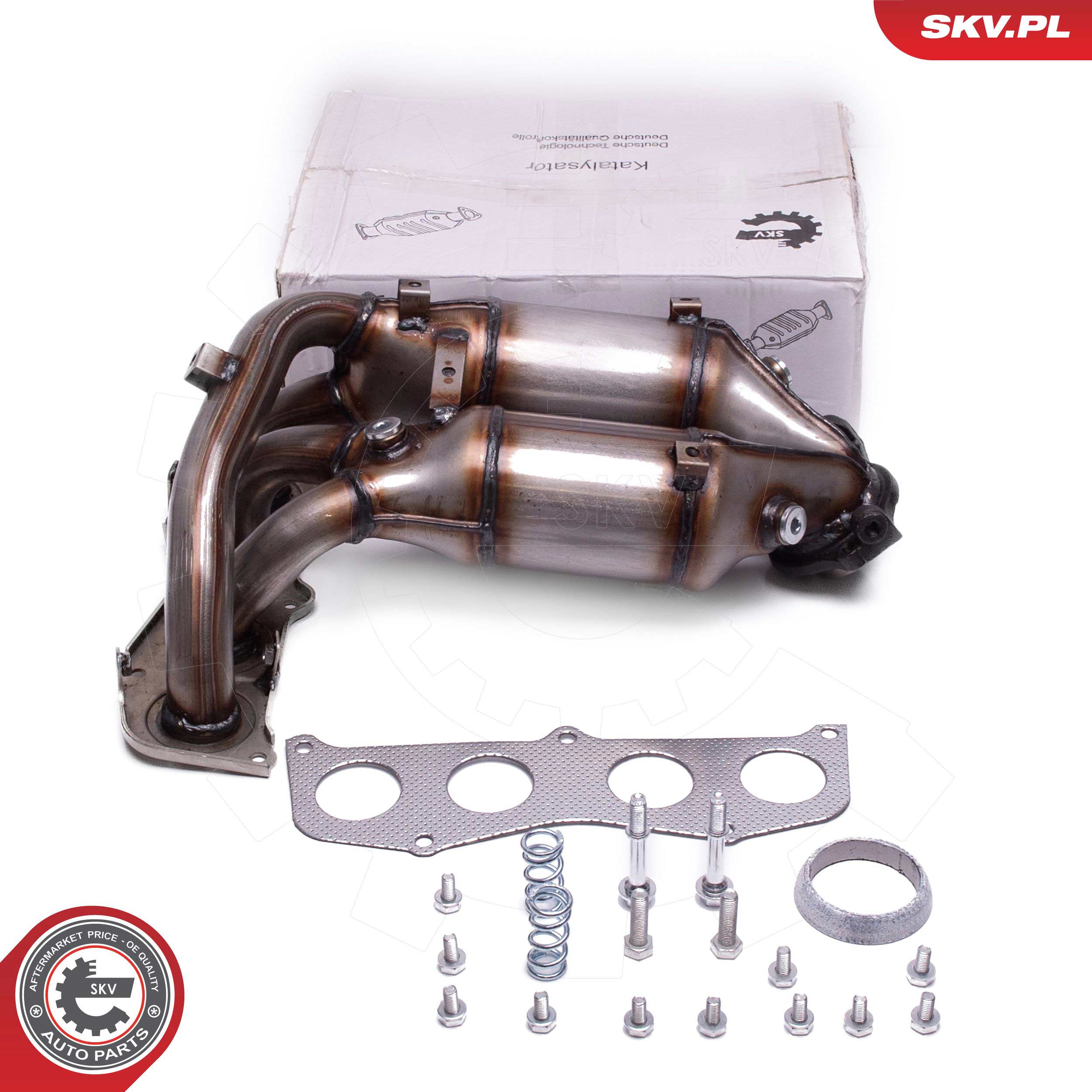 Catalyseur ESEN SKV 62SKV024