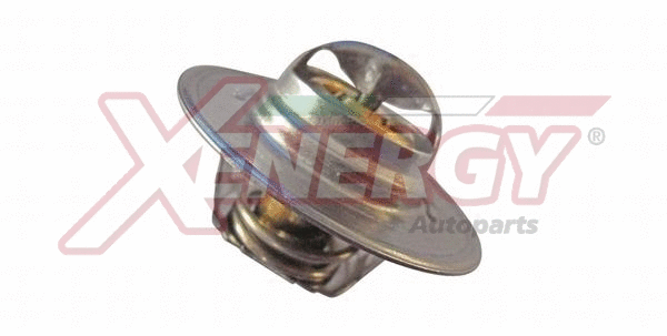 Thermostat, liquide de refroidissement AP XENERGY XT6244