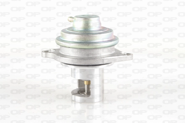 Vanne EGR OPEN PARTS EGR3021.00