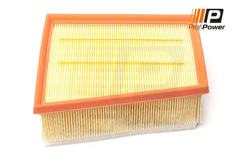 Filtre à air ProfiPower 2F0180