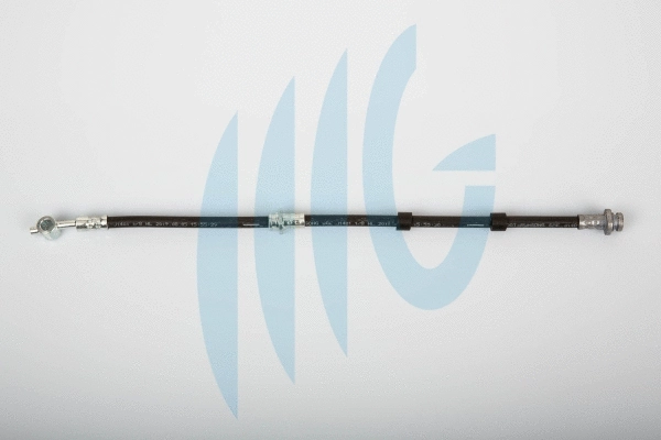 Flexible de frein RICAMBIFLEX GM 02101085